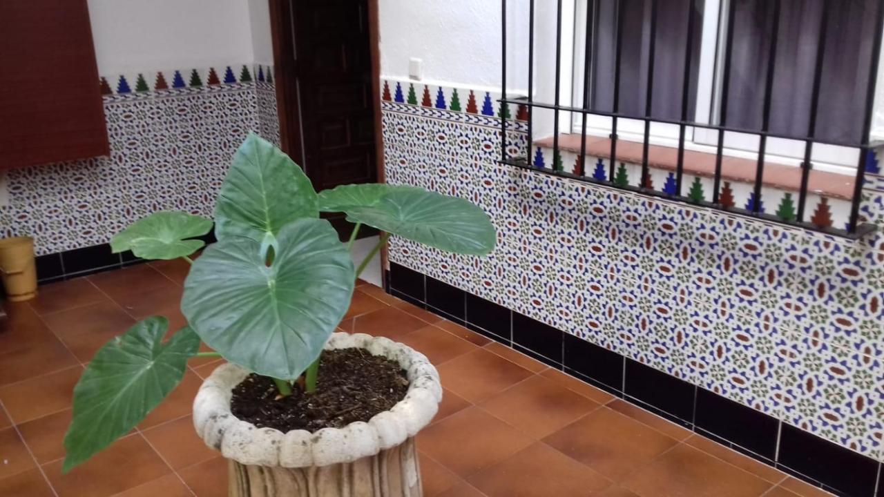 Pompeyos Viviendas Vacacionales Córdoba Exteriér fotografie